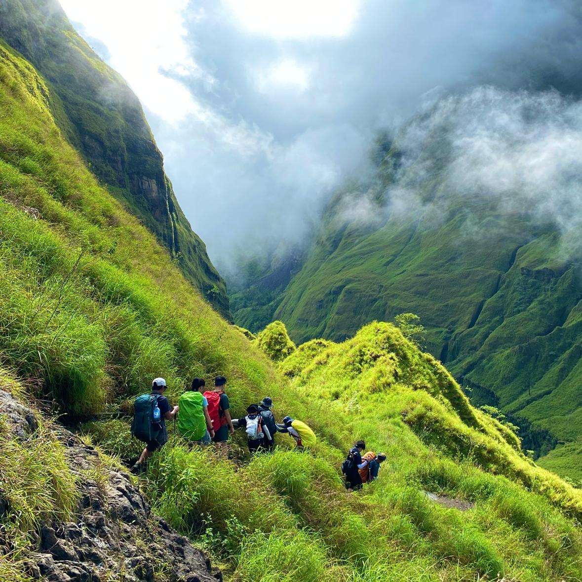 Torean jungle trail