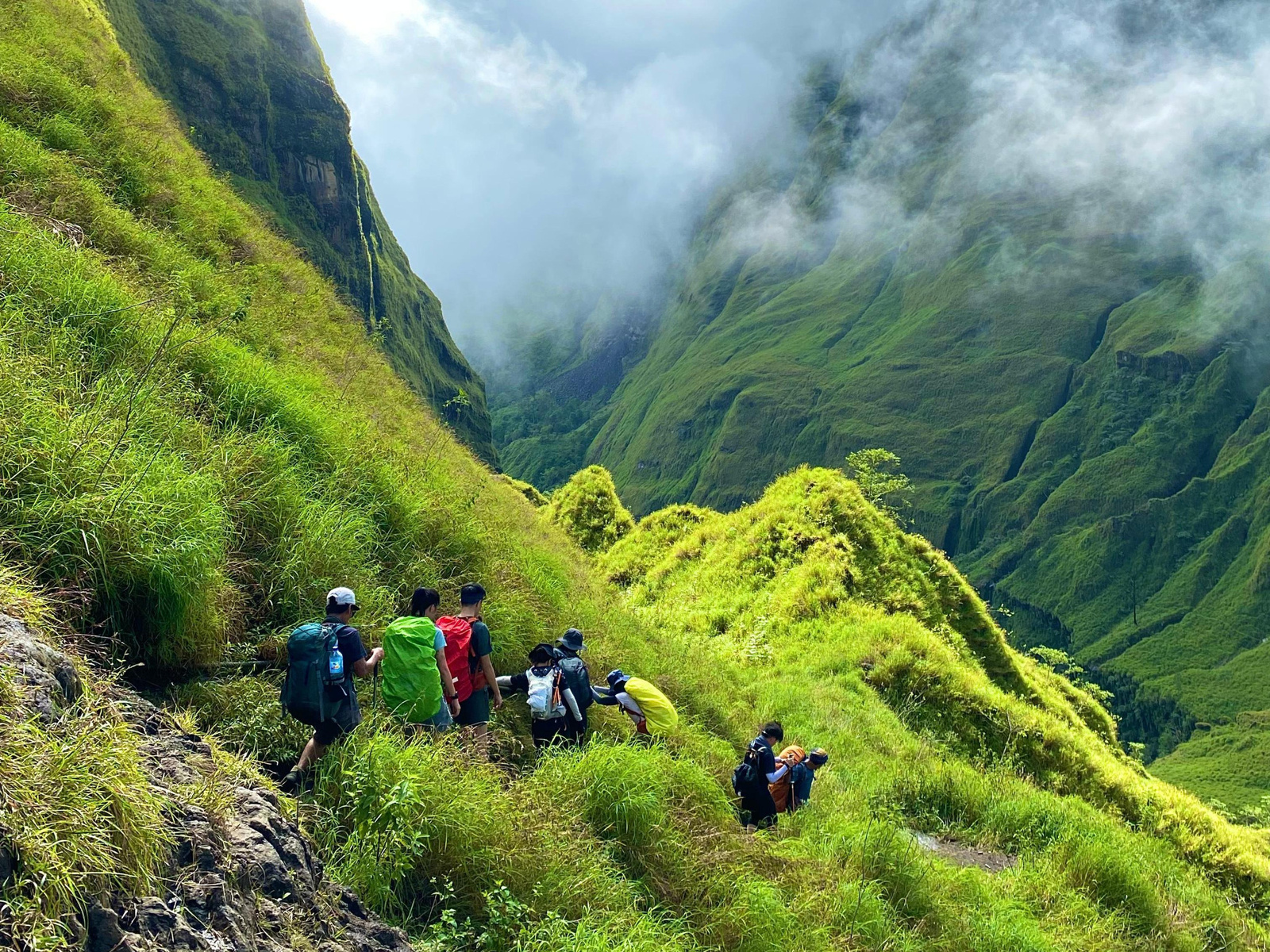Torean trail lush jungle trekking path